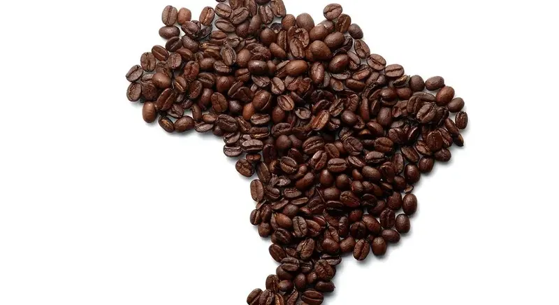 Kawa z Brazylii